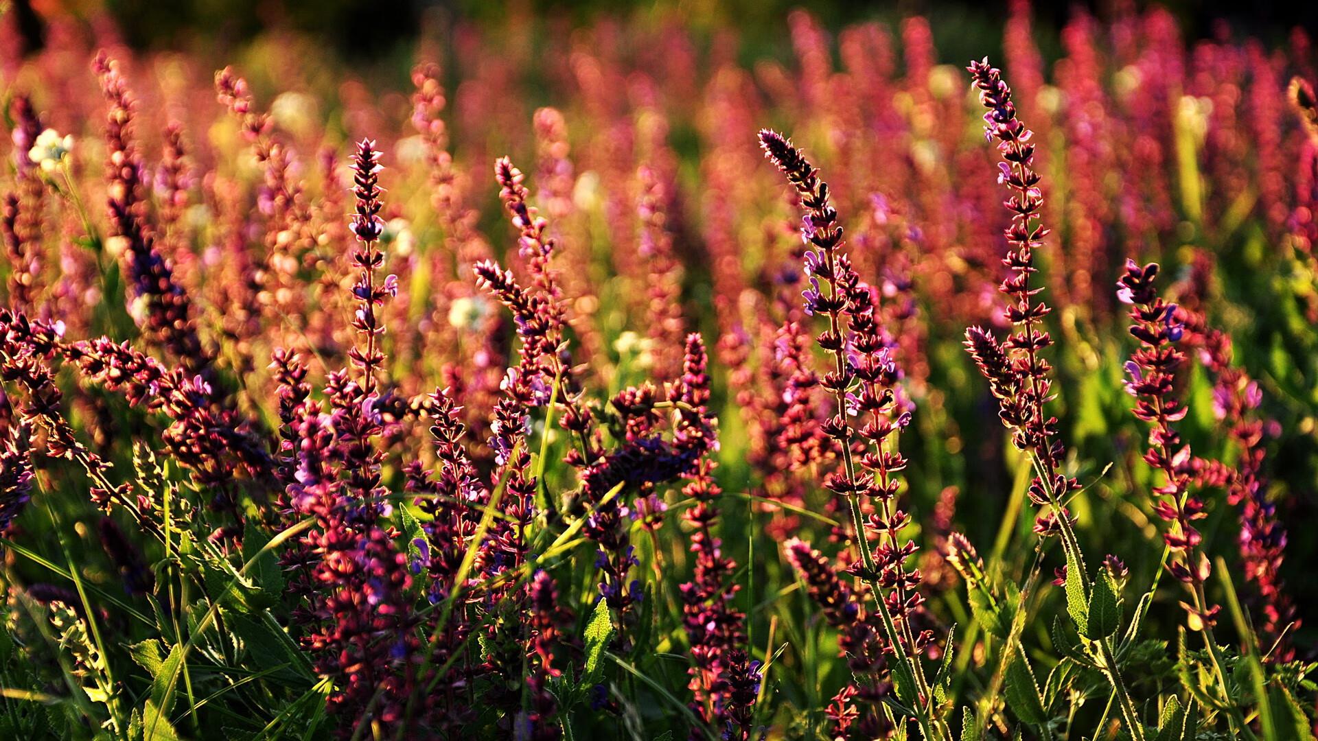 2023年男女標準體重（2023年男女標準體重兒童）